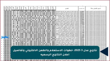 نتائج عدل 3 2025: خطوات الاستعلام والطعن الإلكتروني وتفاصيل إعلان النتائج الرسمية